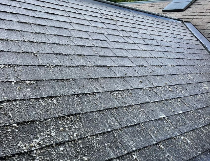 Perfection Power Washing services